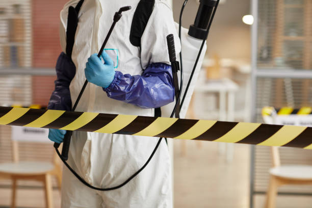 Professional Sewage Cleanup technician working in Nelson, NH